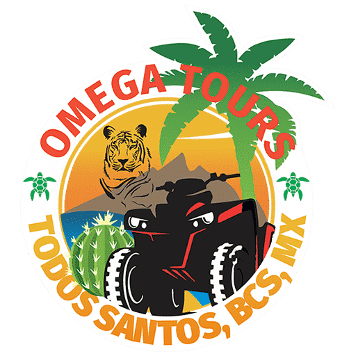 Omega Tours Todos Santos place picture