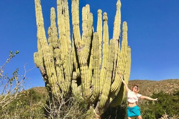 omegatours-todossantos-17