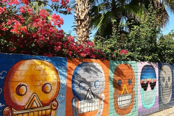 omegatours-todossantos-20