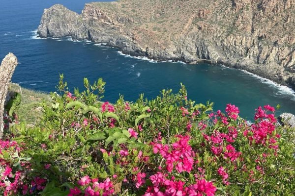 omegatours-todossantos-22