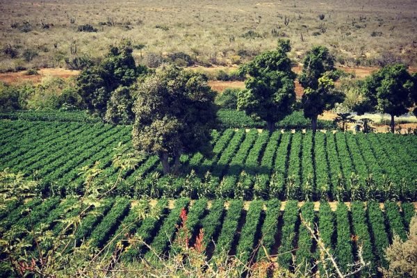 omegatours-todossantos-7