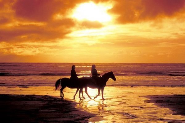Horseback Riding Tour - Todos Santos