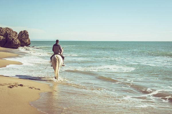 Horseback Riding Tour - Todos Santos