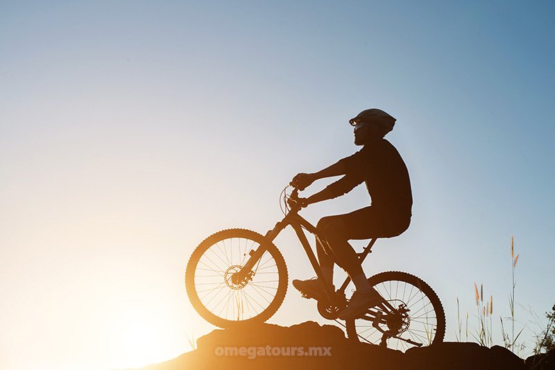 Bike Rentals and Tours - Omega Tours, Todos Santos, Baja California Sur, México