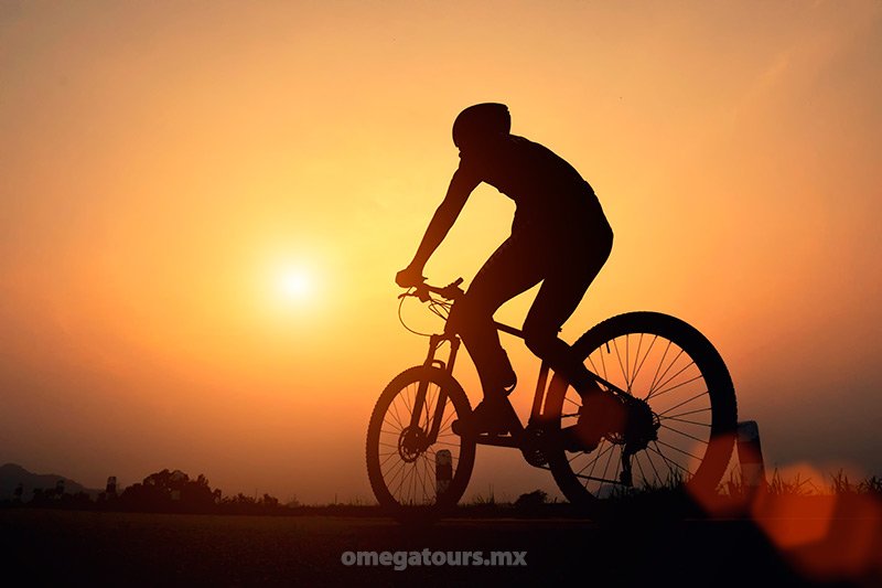 Bike Rentals and Tours - Omega Tours, Todos Santos, Baja California Sur, México