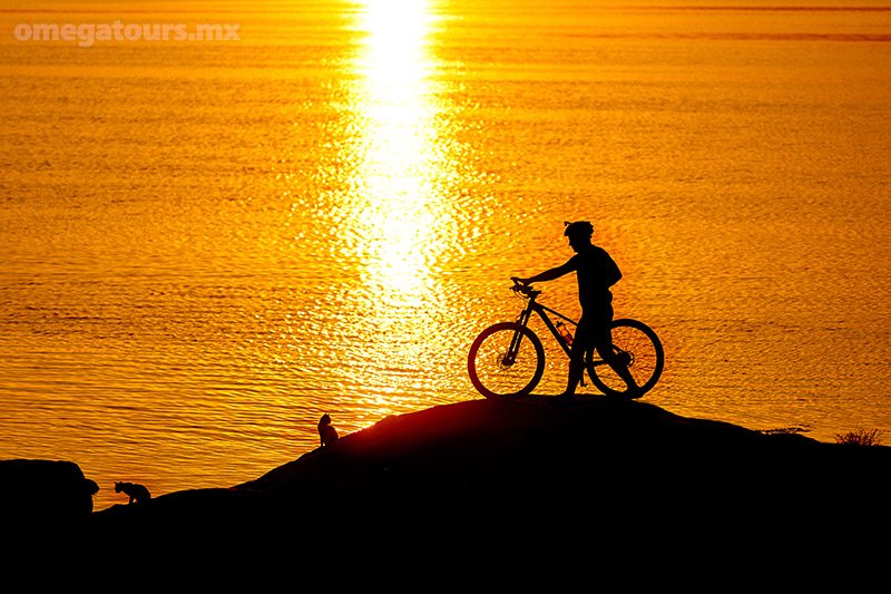 Bike Rentals and Tours - Omega Tours, Todos Santos, Baja California Sur, México