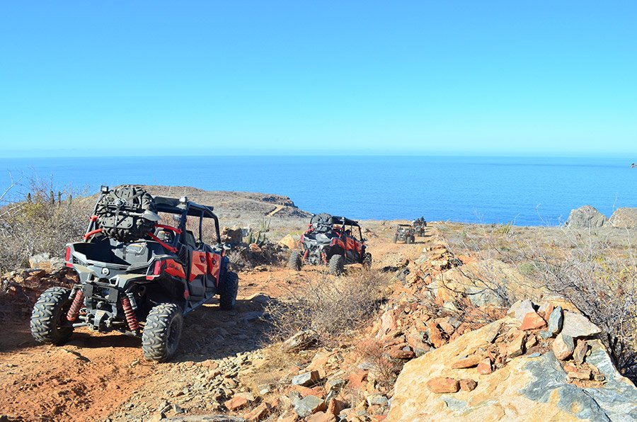 Omega Tours Todos Santos - Guided, Self guided and Rentals