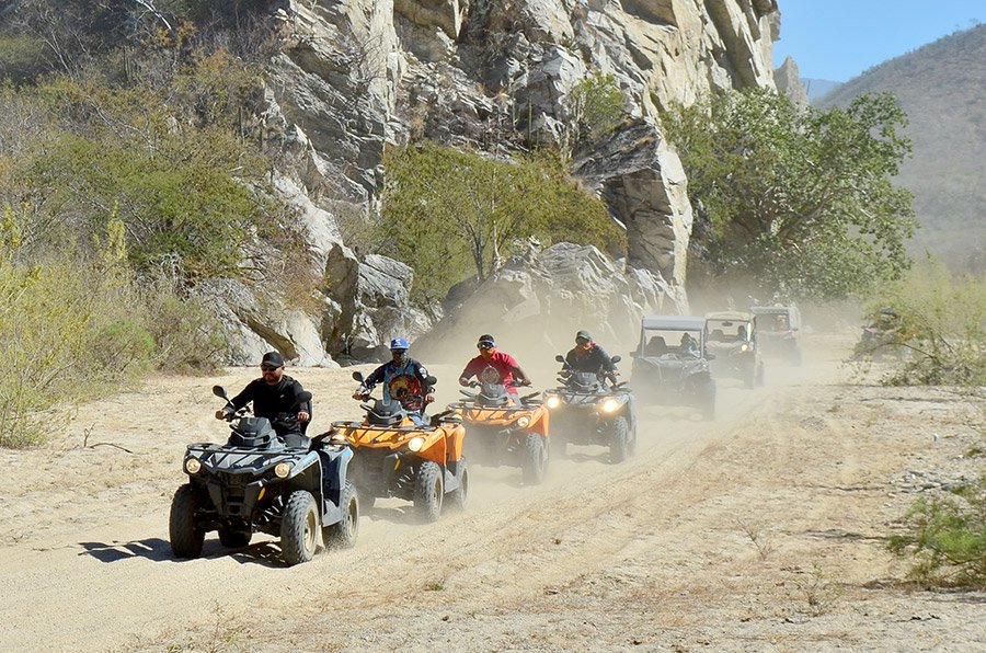 Omega Tours Todos Santos - Guided, Self guided and Rentals