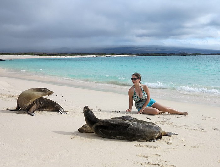 Swimming with Sea Lions Espiritu Santo Island - Omega Tours Todos Santos