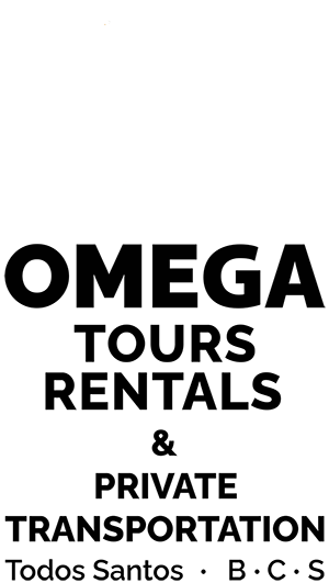 Omega Tours Todos Santos / Baja Off-road tours ATV or Side by Side! / Private Transportation / Rentals, Bikes, Motorcycles, Fishing, Whale Watching, Horseback riding and more!