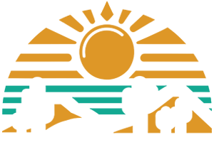 Omega Tours Todos Santos / Baja Off-road tours ATV or Side by Side! / Private Transportation / Rentals, Bikes, Motorcycles, Fishing, Whale Watching, Horseback riding and more!